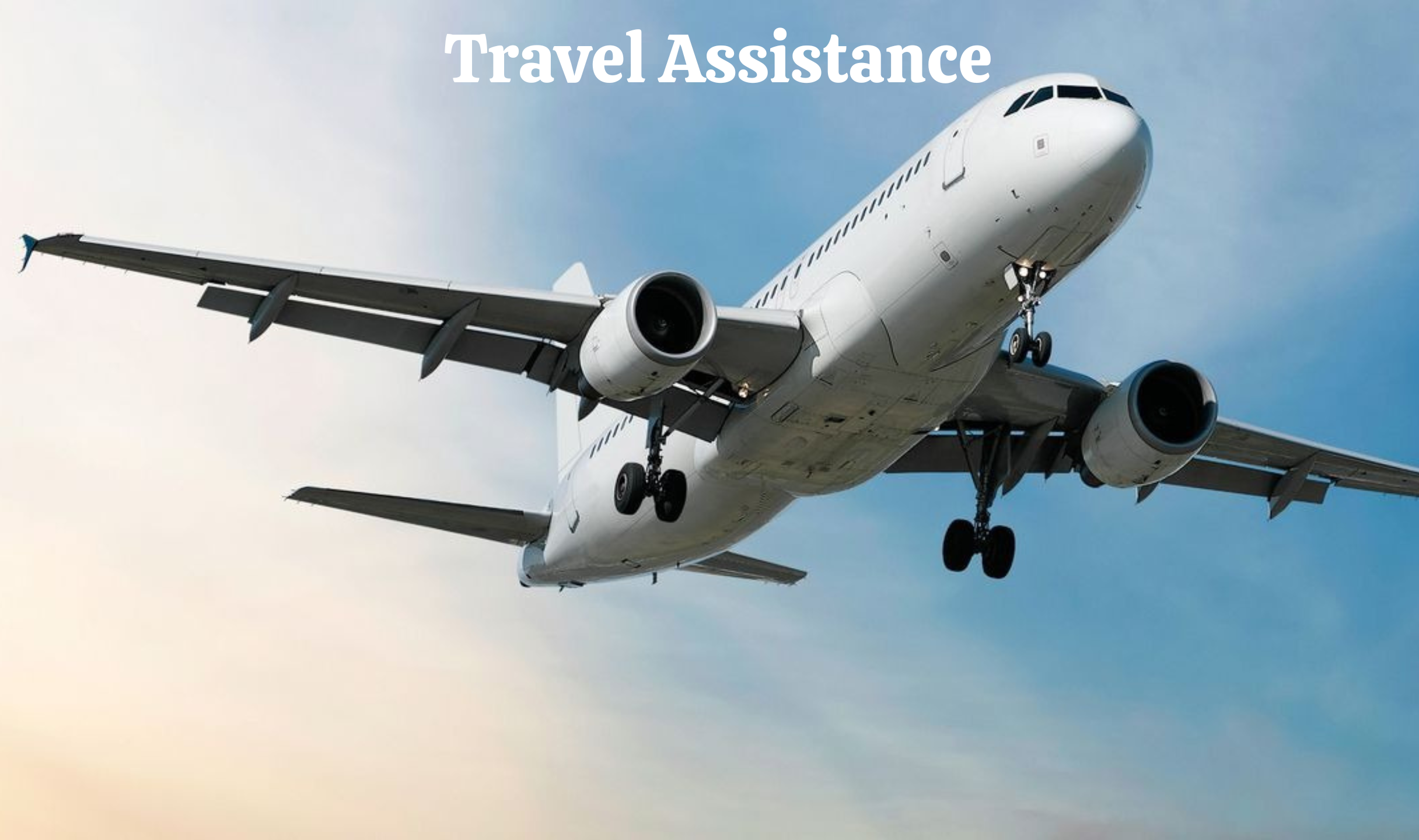 Travel Assistance (1)