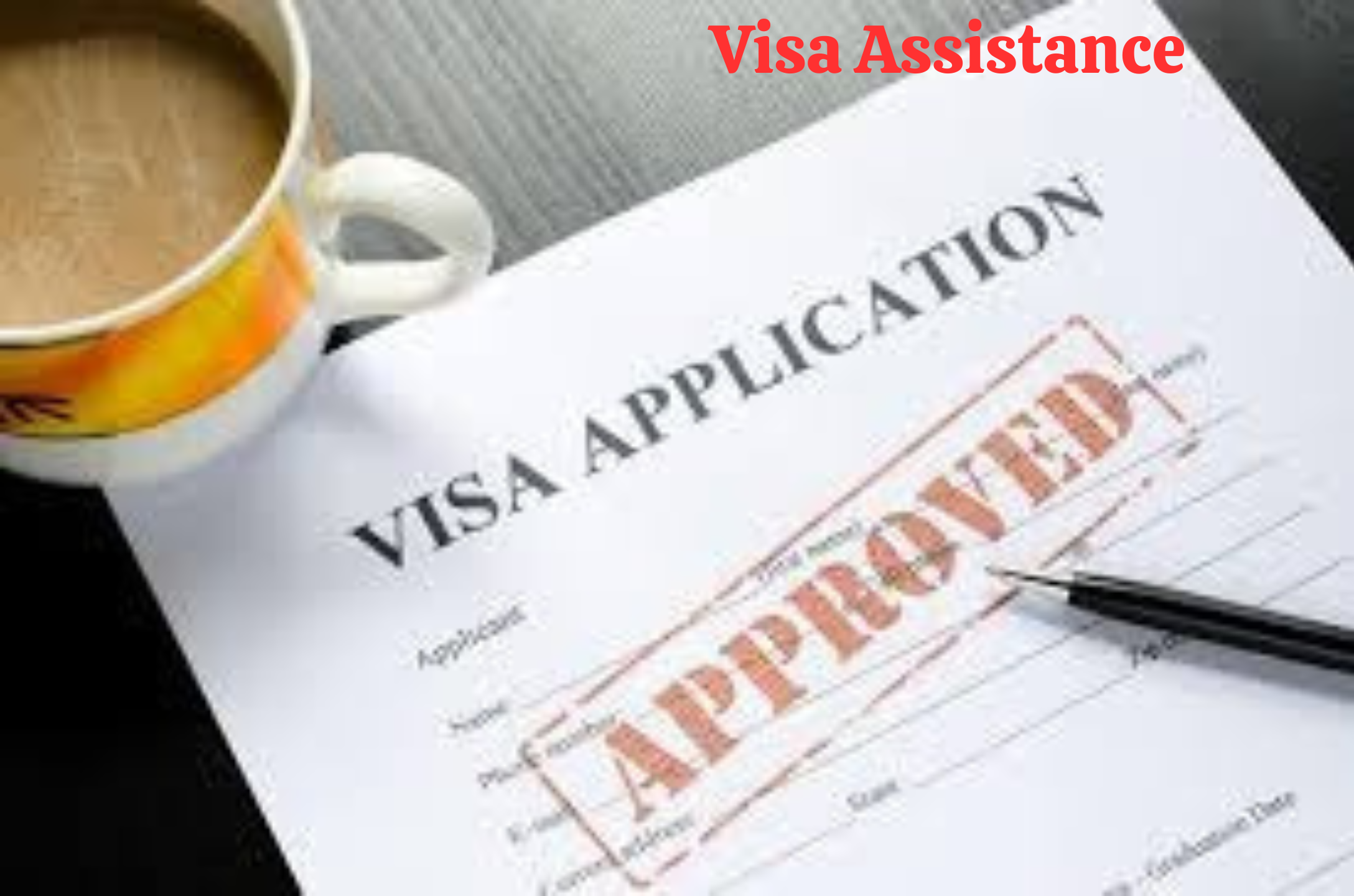 Visa (1)